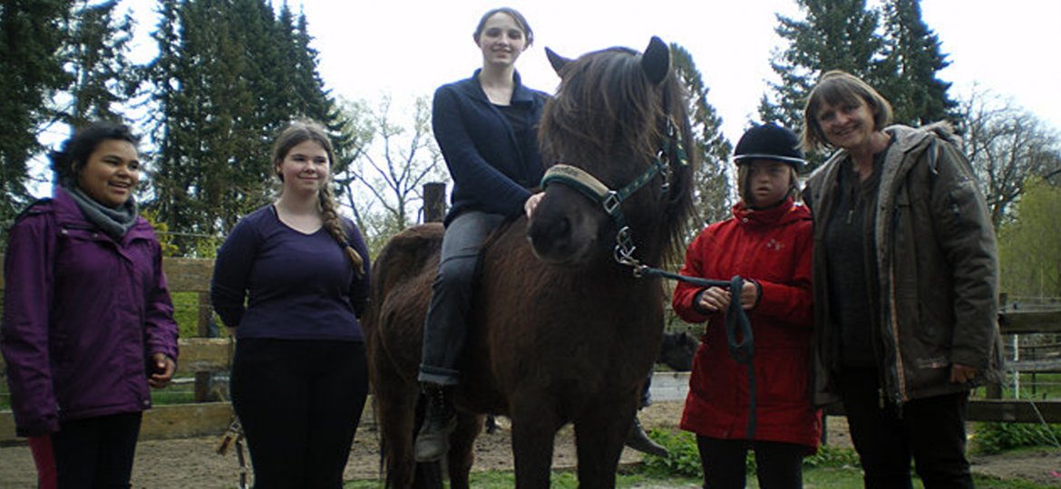 Pferde Reiten