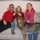 Familienhund Hermes