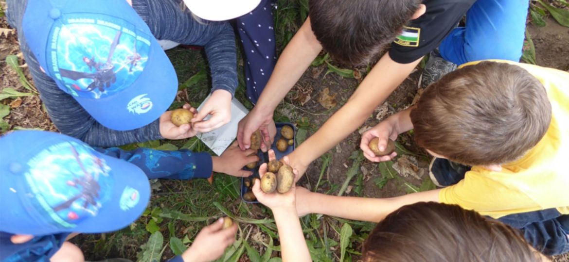 Introbild Projekt Kindergärten finanziert durch Hörer helfen Kindern