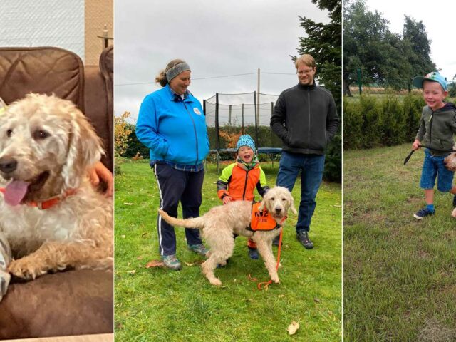 Introbild Hörer helfen Kindern Spendenmarathon 2021 Assistenzhund für Ben