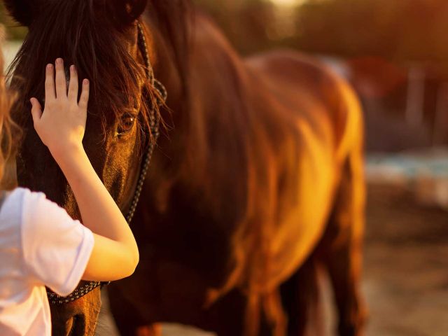 Introbild Hörer helfen Kindern Spendenmarathon Reittherapie für Maya