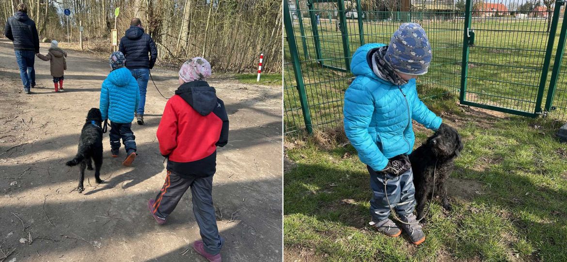 Introbild Assistenzhund für Simon durch Hörer helfen Kindern