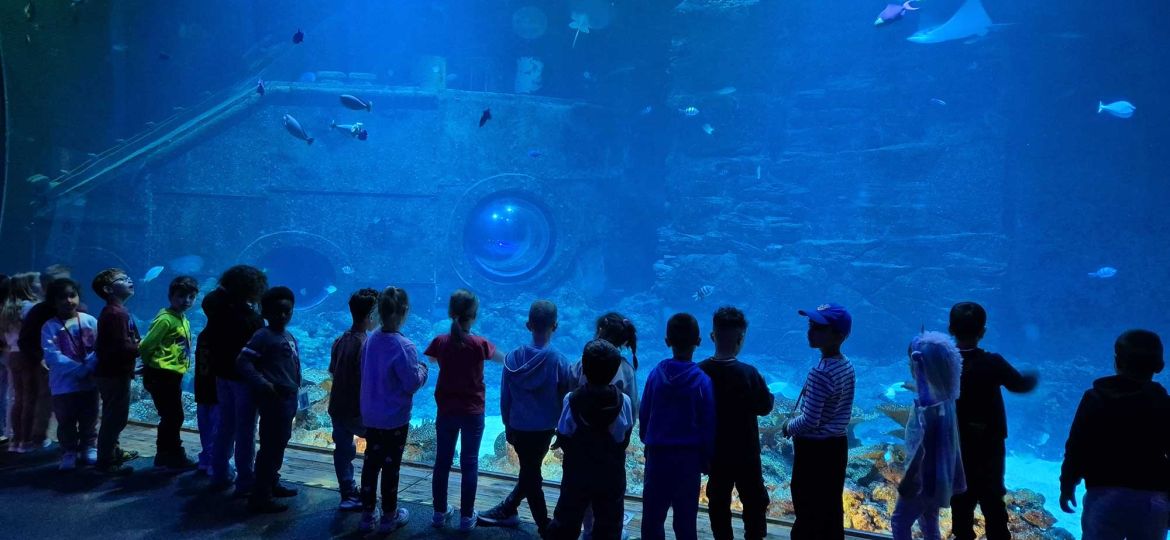 Introbild Projekt Weltenbummler der Schule am See finanziert von Hörer helfen Kindern