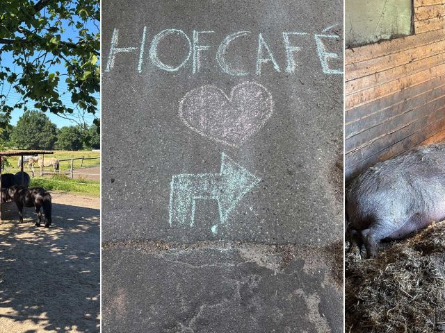 Introbild Tierpaten-Projekt in Sülldorf finanziert durch Hörer helfen Kindern