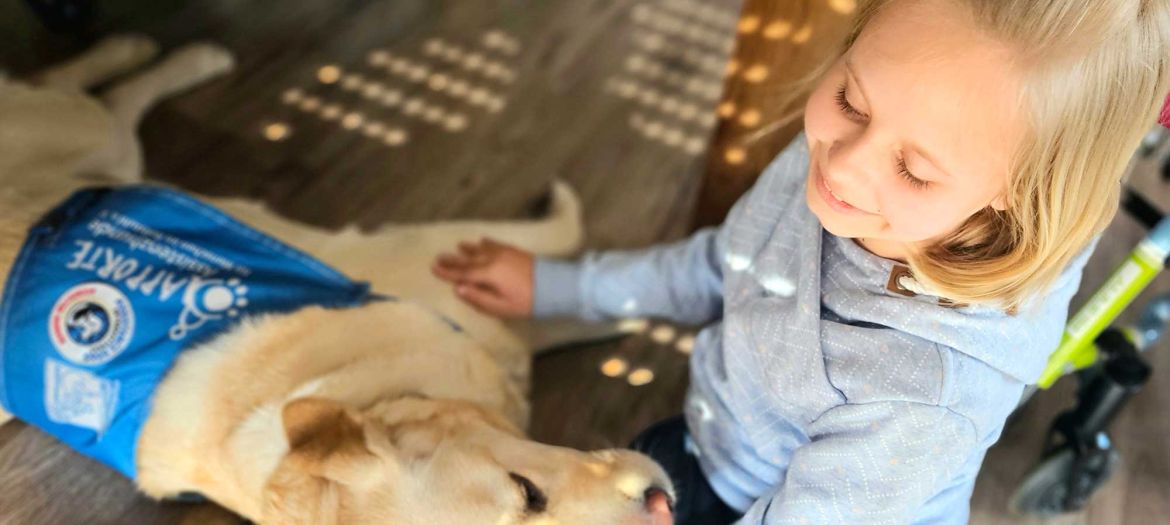 Introbild Hörer helfen Kindern Spendenmarathon 2025 ein Assistenzhund für Lenia - Radio Hamburg Hörer helfen Kindern e.V. Introbild Hörer helfen Kindern Spendenmarathon 2025 ein Assistenzhund für Lenia