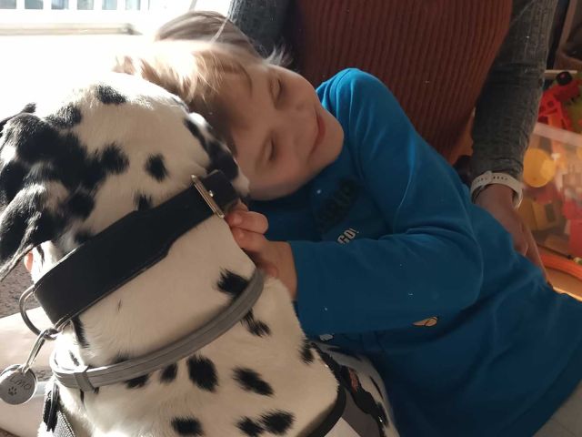 Introbild Hörer helfen Kindern Spendenmarathon 2025 Hundetherapie für Mikhail