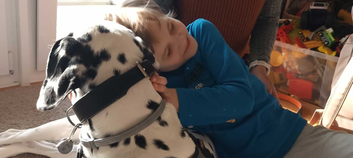 Introbild Hörer helfen Kindern Spendenmarathon 2025 Hundetherapie für Mikhail - Radio Hamburg Hörer helfen Kindern e.V. Introbild Hörer helfen Kindern Spendenmarathon 2025 Hundetherapie für Mikhail