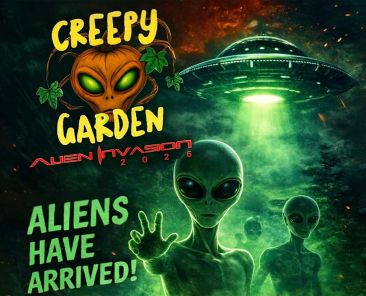 Introbild Creepy Garden Halloweengarten mit Spendenaktion für Hörer helfen Kindern
