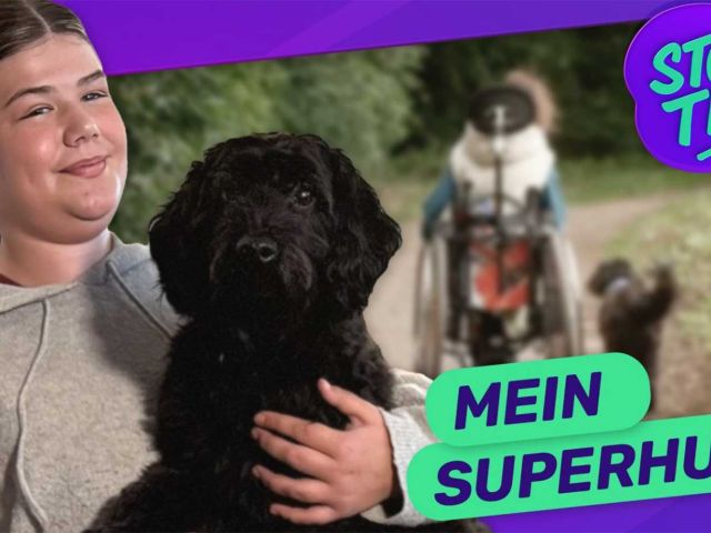 Introbild Maje bekommt Assistenzhund Mika von Hörer helfen Kindern