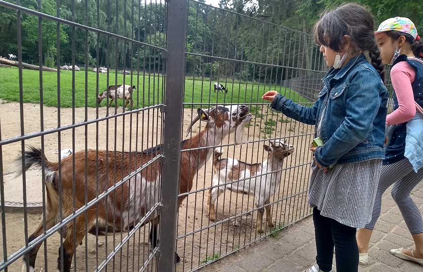 04-Reise-für-die-Kinder-vom-Spielgelände-Bonnepark-finanziert-durch-Hörer-helfen-Kindern
