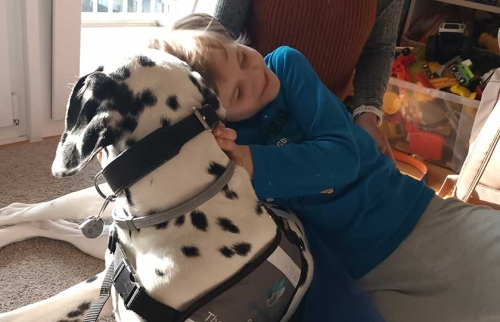 02-Mikhail-bekommt-Hundetherapie-von-Hörer-helfen-Kindern