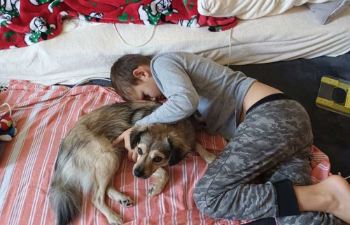 07-Mikhail-bekommt-Hundetherapie-von-Hörer-helfen-Kindern
