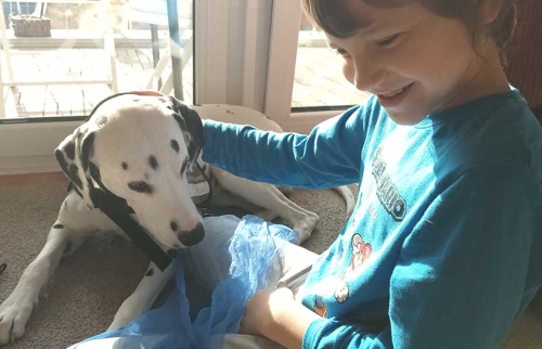 08-Mikhail-bekommt-Hundetherapie-von-Hörer-helfen-Kindern