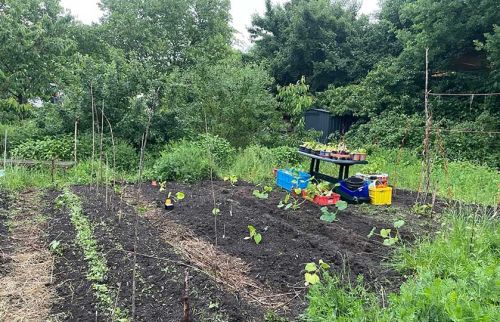 08-Neue-Garten-für-den-Gartentreff-Neuwiedenthal-finanziert-durch-Hörer-helfen-Kindern
