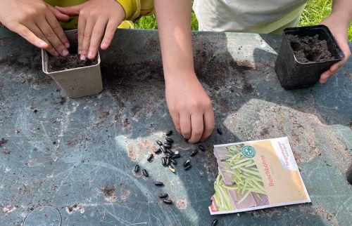 09-Neue-Garten-für-den-Gartentreff-Neuwiedenthal-finanziert-durch-Hörer-helfen-Kindern