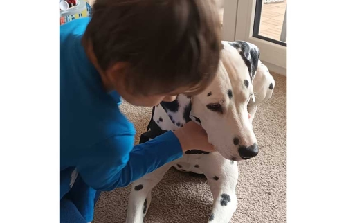 11-Mikhail-bekommt-Hundetherapie-von-Hörer-helfen-Kindern