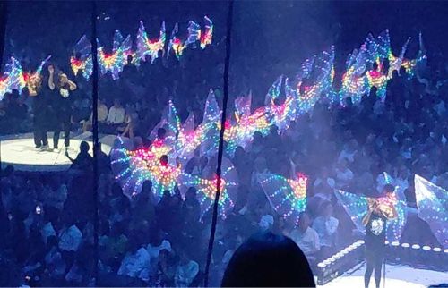 Crowd seated around a lit stage as a performer with colorful LED-wing props entertains below bright, rainbow-lit wings.